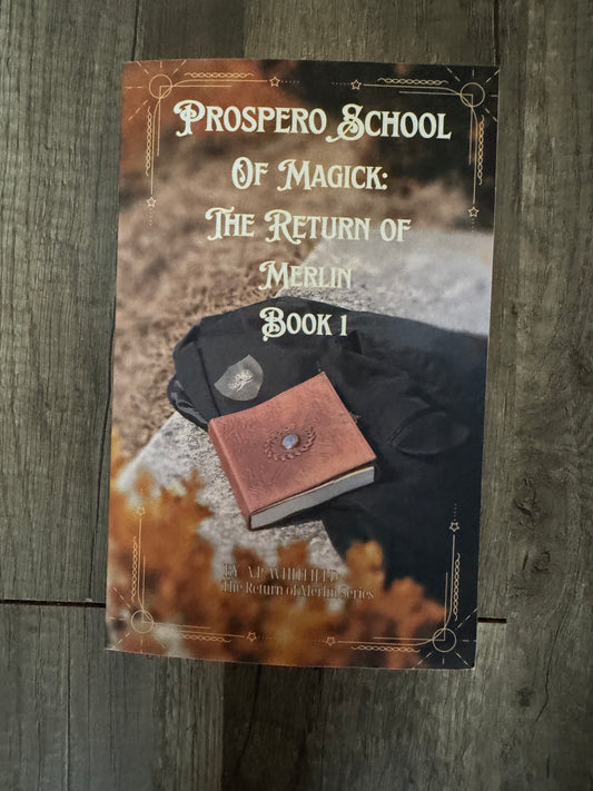 Prospero School of Magic: The Return of Merlin Book 1(Kindle)